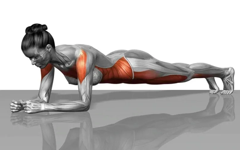 plank dung cach huong dan chi tiet va nhung loi can tranh